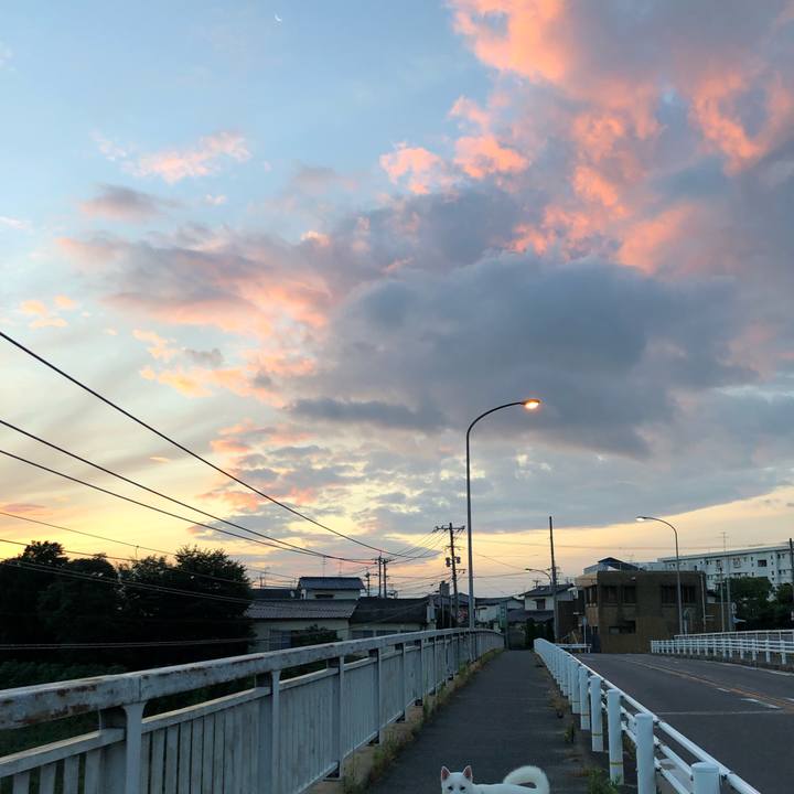 7f8a0036 907e 4fbd 933c c1bea5883f1f 1564371073335