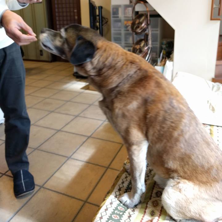 7f8a05f2 3d6c 44cc b0d1 3e81741e77be 1517714667304