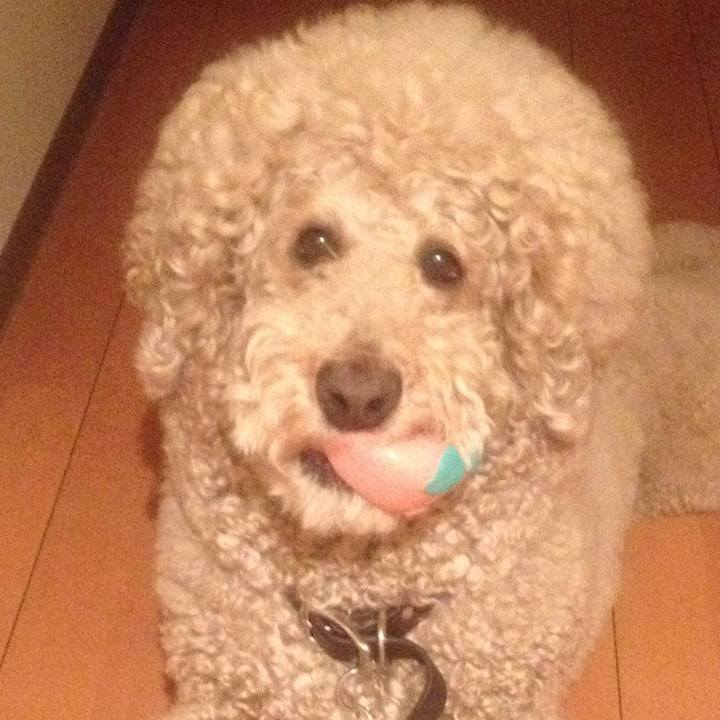 7f8a4c3b 2735 4520 92f8 8fc74c2bc495 1524741229943