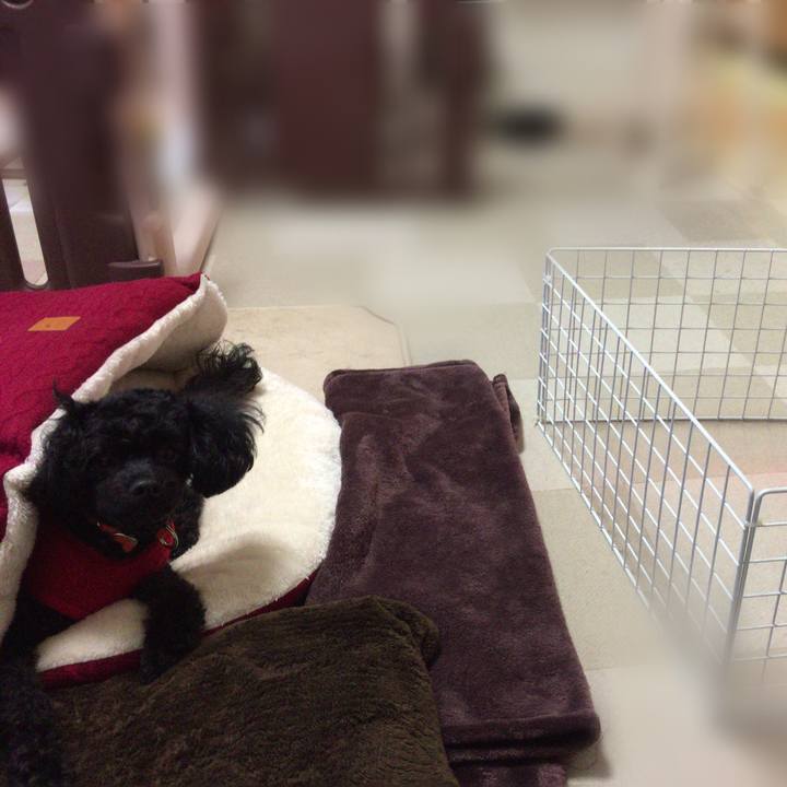 7f8a82eb 2550 47f1 a9e2 e6862c6de65b 1510459692174