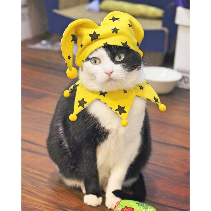 7f8a864a a9b3 4679 8cab fa0e16bbf369 1582945206359