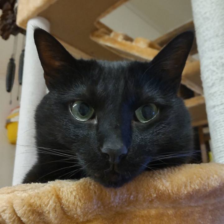 7f8a8a39 18b1 410a b265 e35621517895 1619602702881