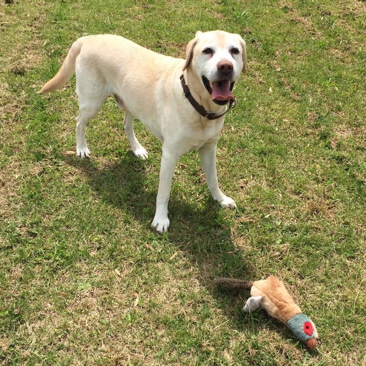 7f8ab0e8 2302 441d 9b3e c996f249e029 1556943029055