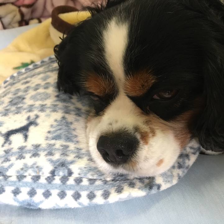 7f8abed4 2f74 457b a7e5 3edc2e973d2f 1509078666547