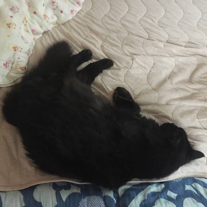 7f8ad26b 76a9 4996 accb cb61e835bbc5 1535497368018