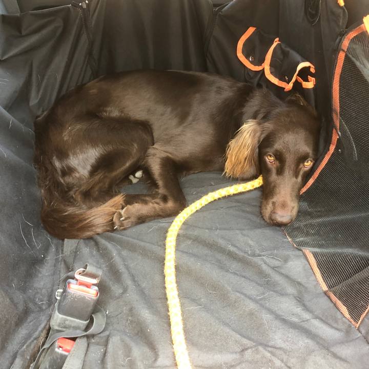 7f8b15e1 b47c 4d74 a62f ba2e6c52465f 1588389259123