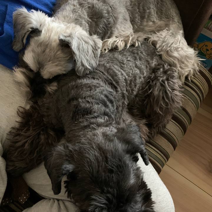 7f8ba6ed e034 47fe a23d 4509ccdfc478 1613794961002