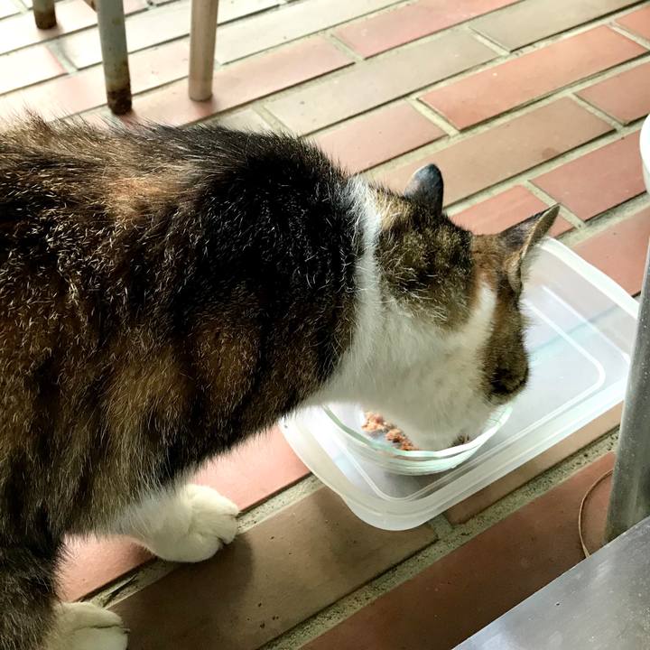 7f8baef4 84f1 42b1 bcc0 9db9d56e1c3f 1565047243401