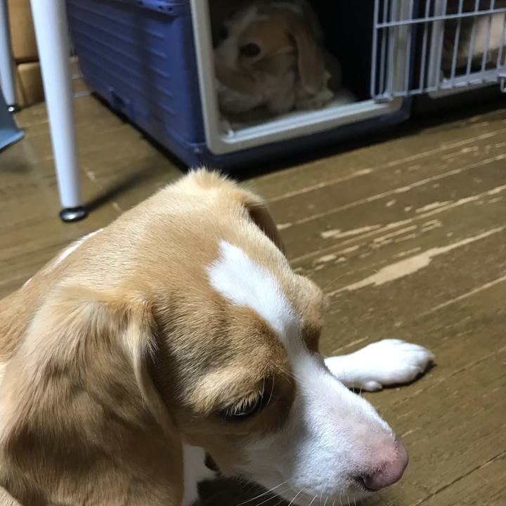 7f8bb9b2 ebdc 4dac b8db b74aac82254d 1535716712261