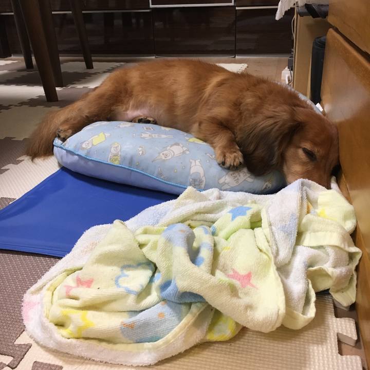 7f8bbc94 e46e 4191 85e4 82bd363ec38d 1534168446779