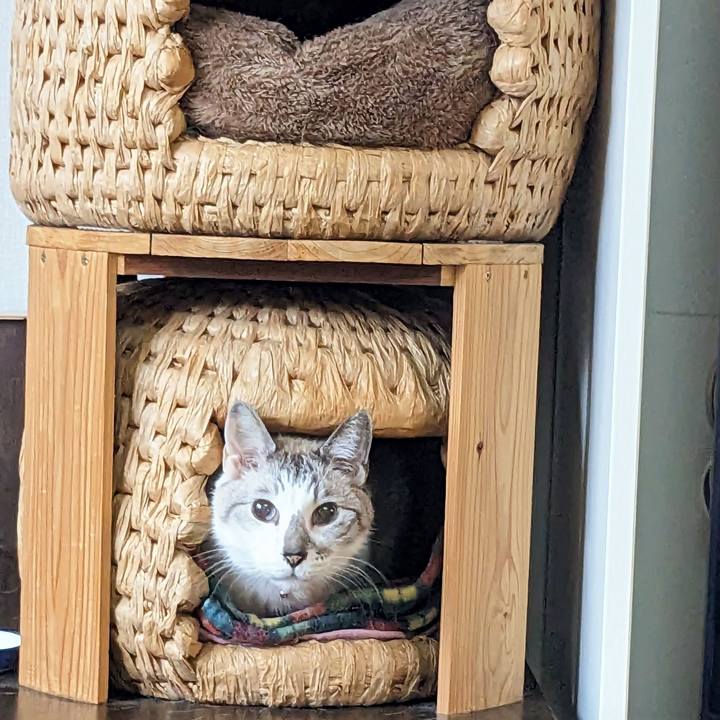 7f8bf3ff e3c8 427b ac5f b2f1a249bd1f 1682670581326