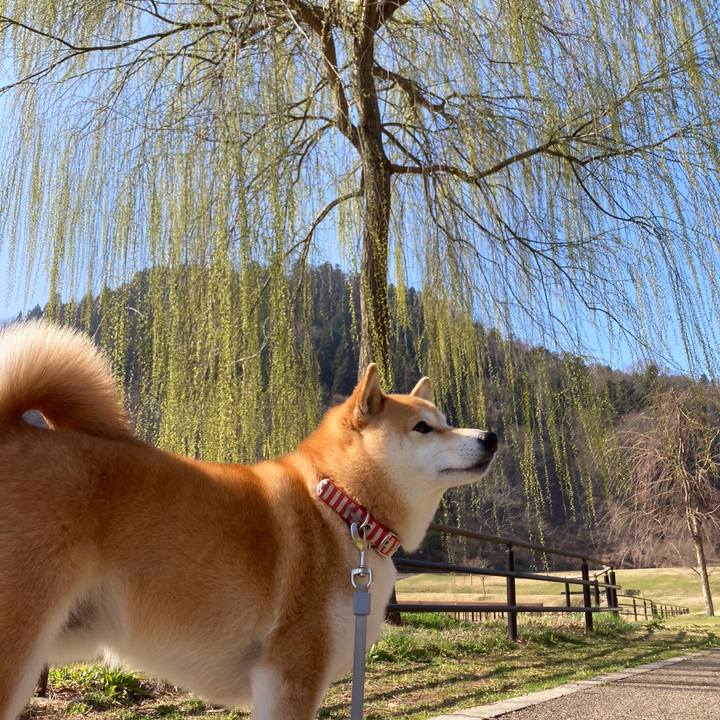 7f8bf846 0bc5 4df2 b72b b5a224002b0b 1680349164952