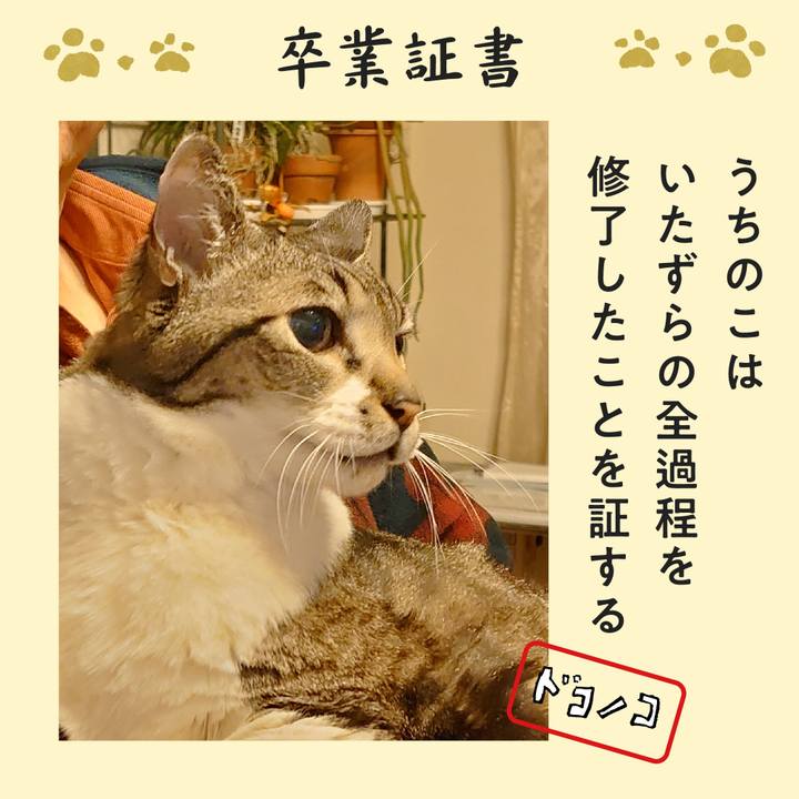 7f8c32d8 1014 44e8 b457 a902bb98b624 1771819853976