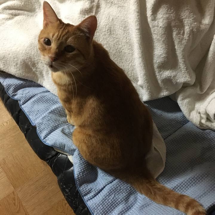 7f8c4da5 8ef6 4e8f ae7c 62ee8820fedb 1563719708996