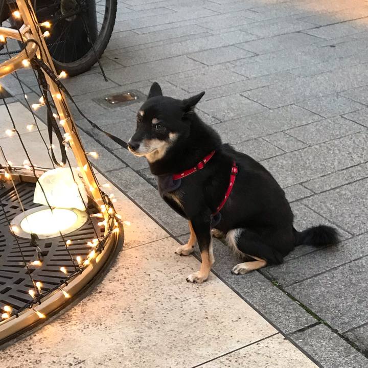 7f8c557a 932e 4ff4 b2b9 623fcdaf5937 1604832822964