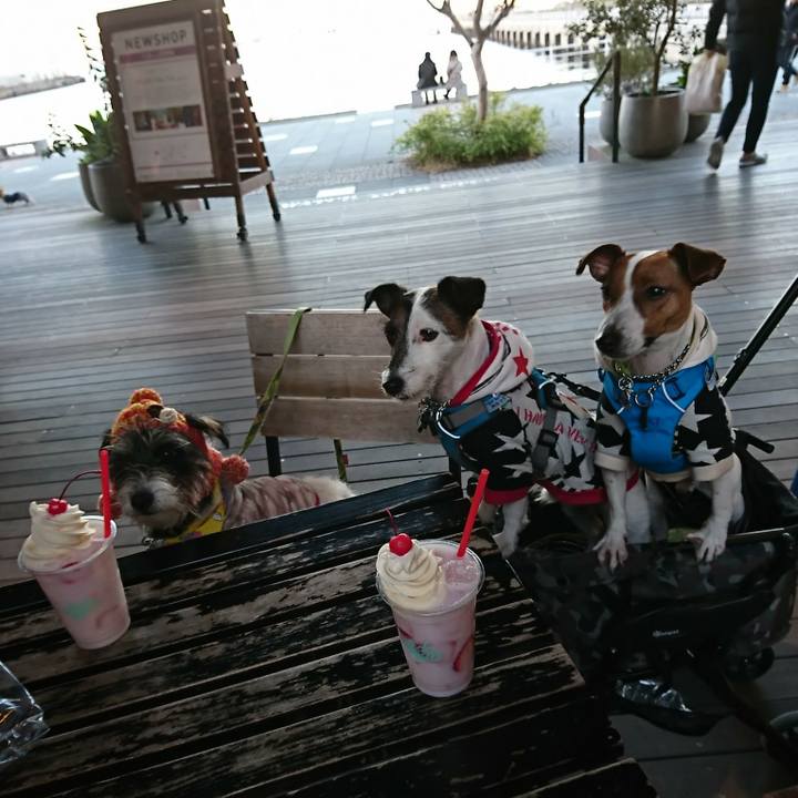 7f8cc543 7a56 42db 847e d817c98a5af0 1549102031228