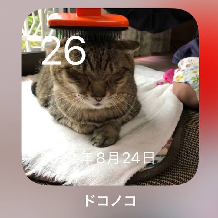 7f8ccdfd a26f 43e7 a2f5 ddac7b158cb4 1693057282160