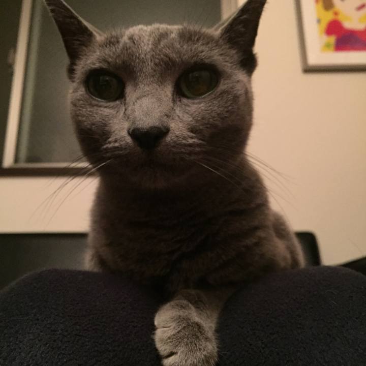 7f8cd823 4c47 4a5b 938c ec71ddce1ac1 1544309208981