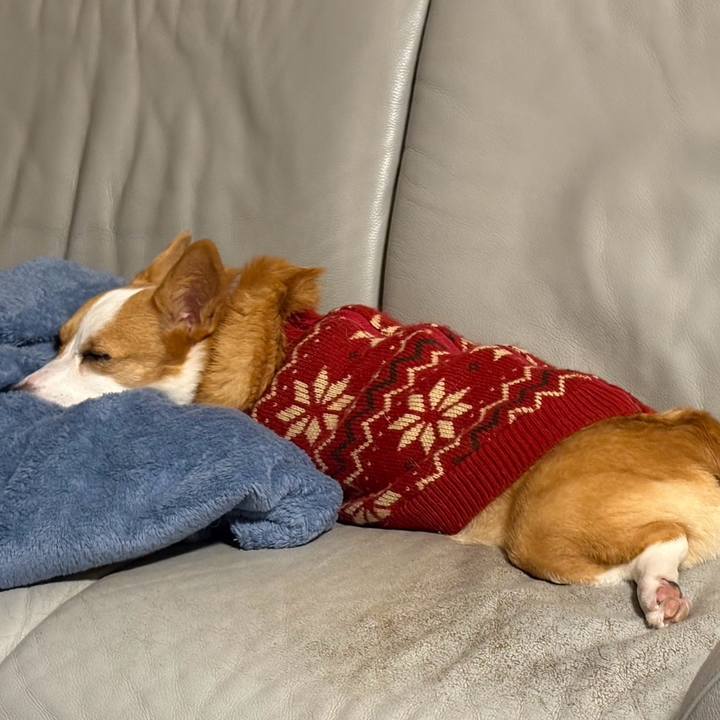 7f8cde61 dee1 4015 8c2b b2248ac18976 1768742290601