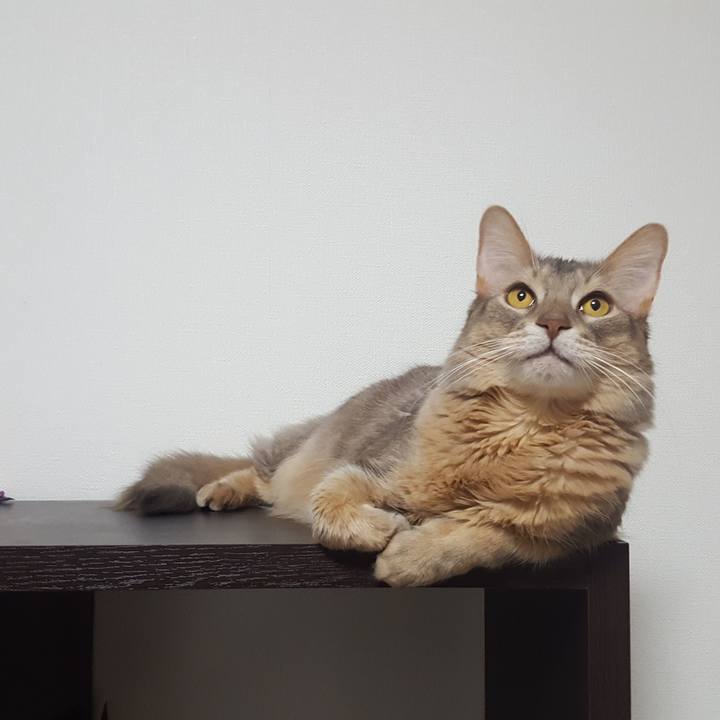 7f8d039d 6f1e 4bda bec5 5fe816c5f81a 1580903747464