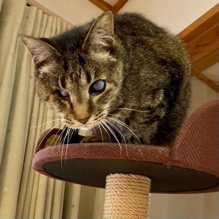 7f8d2a4e 327f 4fab 8b2e aca478689f8b 1677716552984