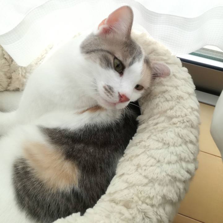 7f8d4e93 216b 443f 96ea f4d59f57b204 1527550357941