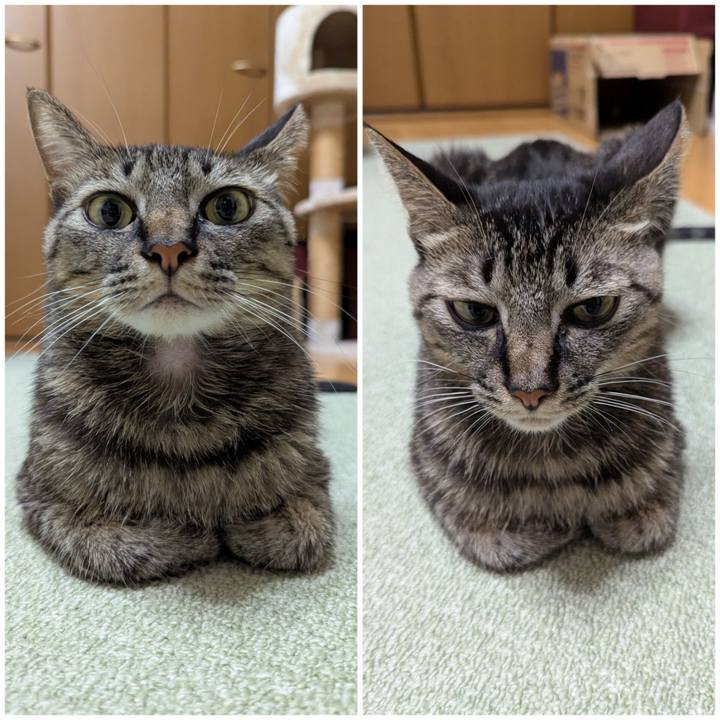 7f8d569c fed9 40c7 bef1 477a68c6736f 1759671634361