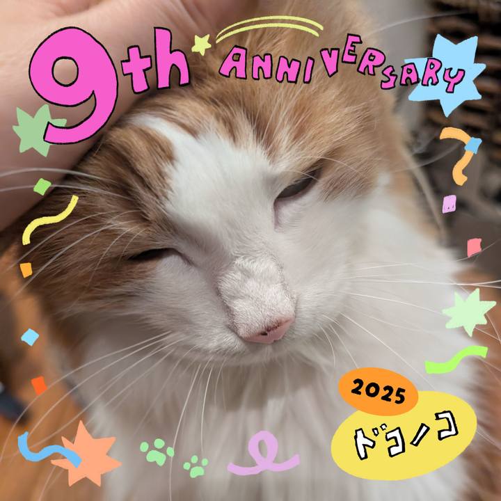 7f8d6e43 477b 4376 b154 6aba969801d8 1749217516416