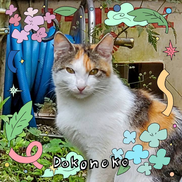 7f8d7b31 8f64 48fc a609 7ef0c4eb4710 1717771255607