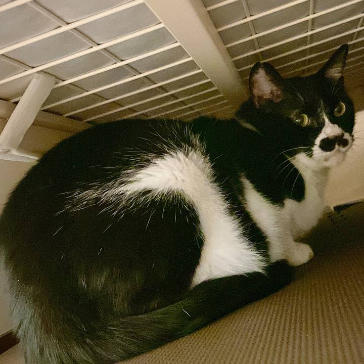 7f8dbfd2 7fce 4a76 ac60 127ec071717e 1685615519772