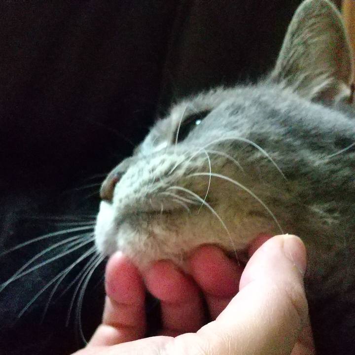 7f8e03c6 a6b9 4241 acad dd6234d740a3 1626728208476