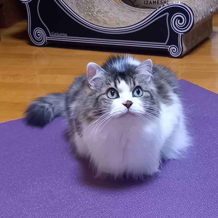 7f8e08b5 a6c0 4660 81b8 559b676baf11 1693344754222