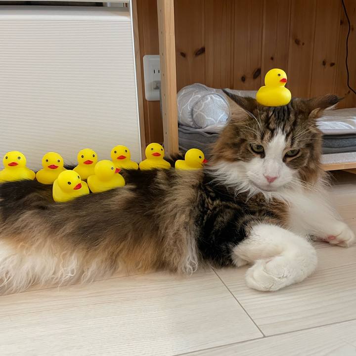 7f8e6dde ba7a 43f7 a26e 6a6e0cf0fd14 1658094434798