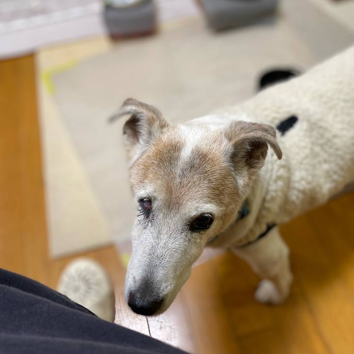 7f8e9283 658f 4106 ab30 193a27759e25 1706134234440