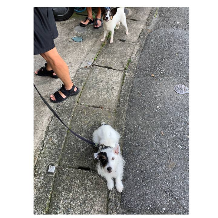 7f8e99ad 3e81 4fab 9920 97831e400e71 1664238331830