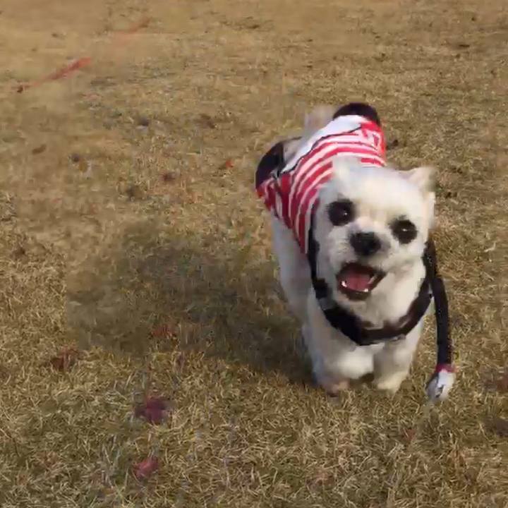 7f8eb8bc 65ed 41a7 8d75 ae7bcc764692 1544013086724