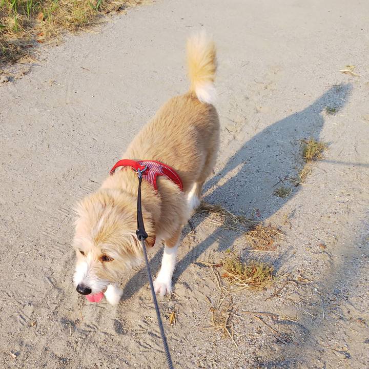 7f8ec0ef 5fe7 43be a87c d1c7a9edb518 1564785046322