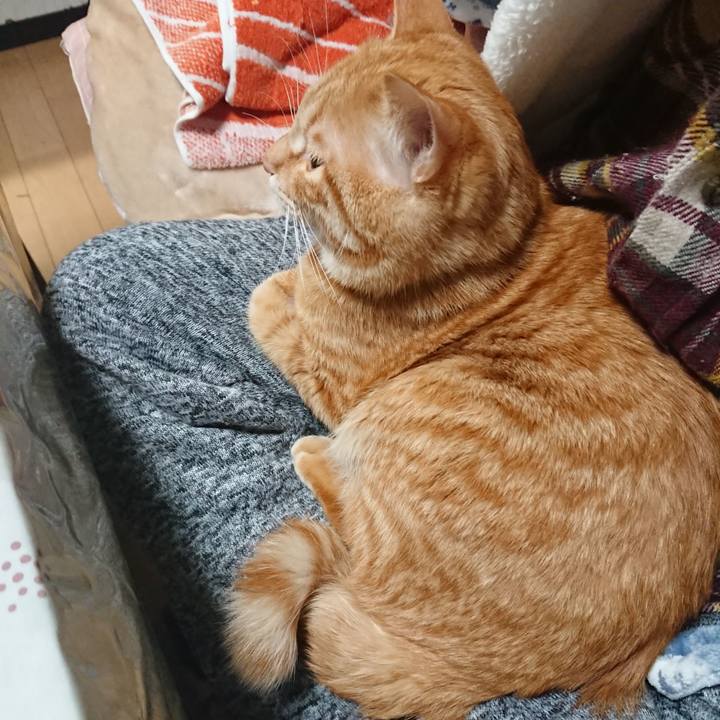 7f8edb12 96ab 47b2 acaa e08a928edcc7 1645442503852