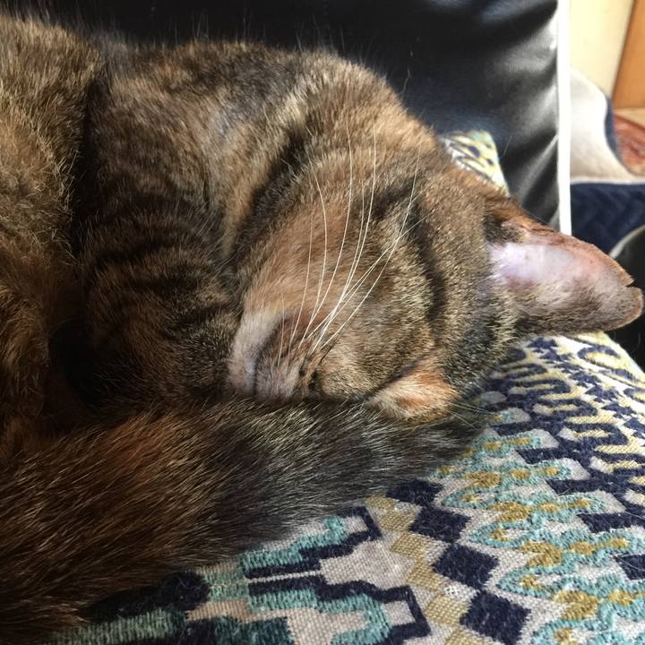 7f8efb96 3076 4001 a9e3 2308707f927f 1595544726883