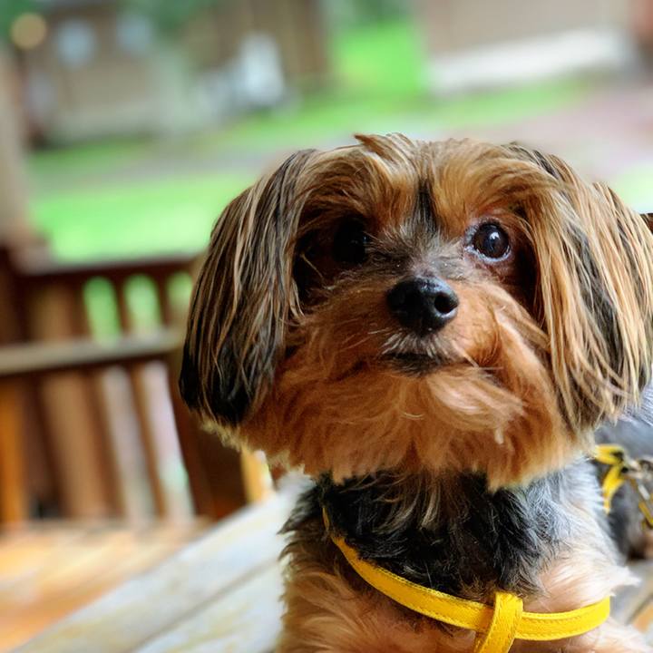 7f8f03de 783c 41cc af63 7d8a7ac2436f 1599435916617