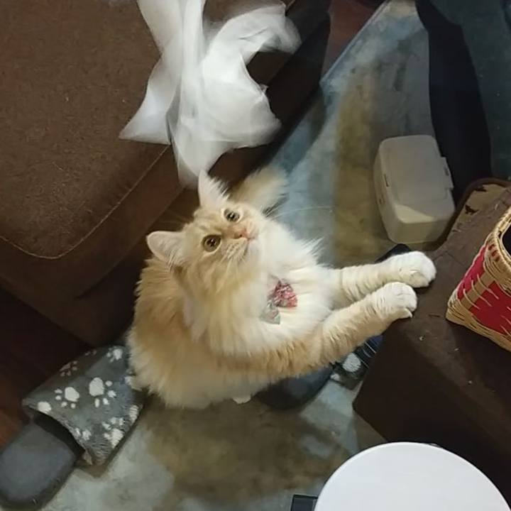 7f8f2fbb 0254 4375 a5bf 247fab17c255 1649198610300