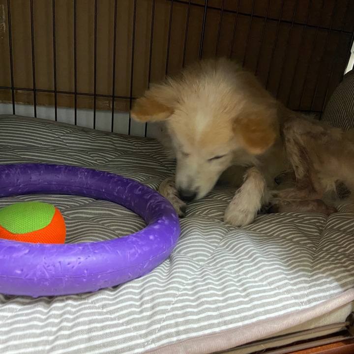 7f8f360e cf1c 4ea3 bc6e 97b5f44dd8ca 1646979442928