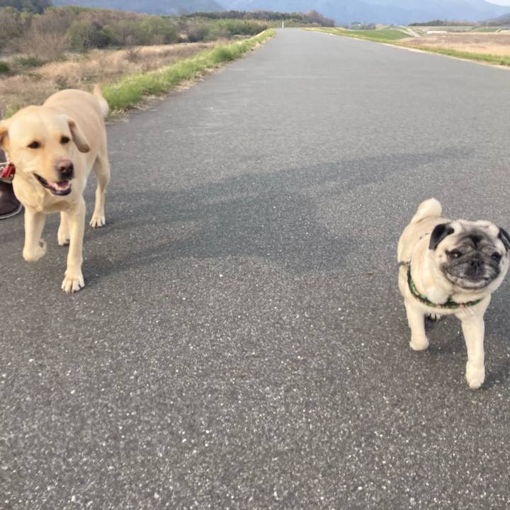 7f8f4fec 36a4 4f9a 9e9b 8af23d31f785 1774789233932