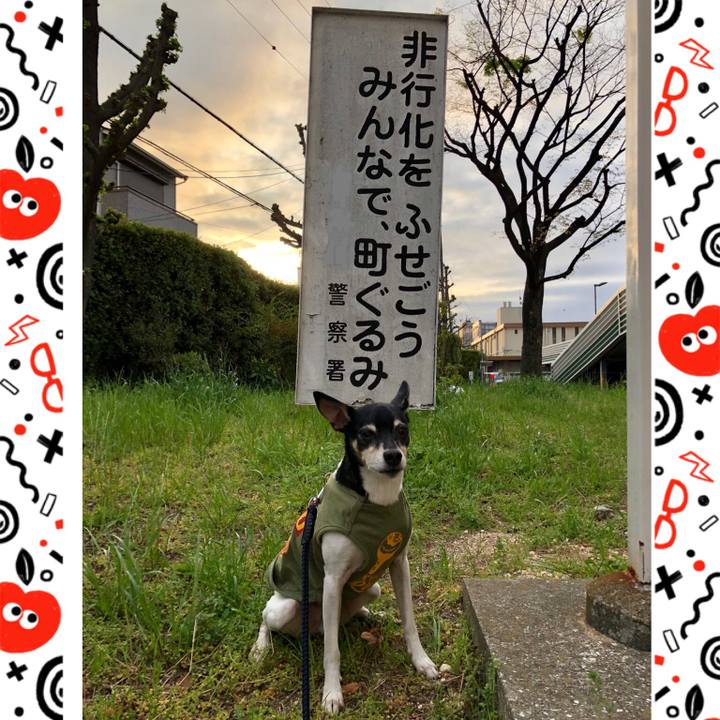 7f8f5514 e7d5 477a 85af 56f6eaba5bf4 1522925929900