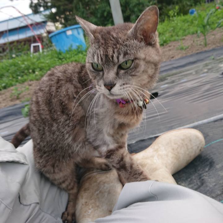 7f8f55f6 7df7 4445 999b ea1b8411ca99 1592559811586