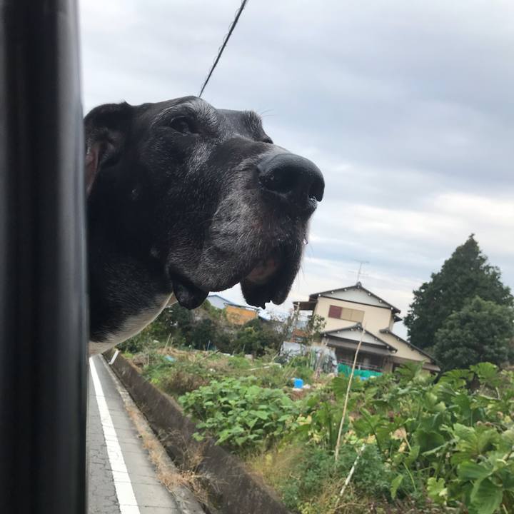 7f8f9c56 522a 4598 9f23 03fa2231f5df 1539906100544