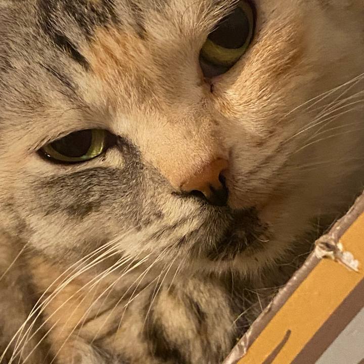 7f8fa120 3014 41d8 ae93 5215524203db 1636517098297