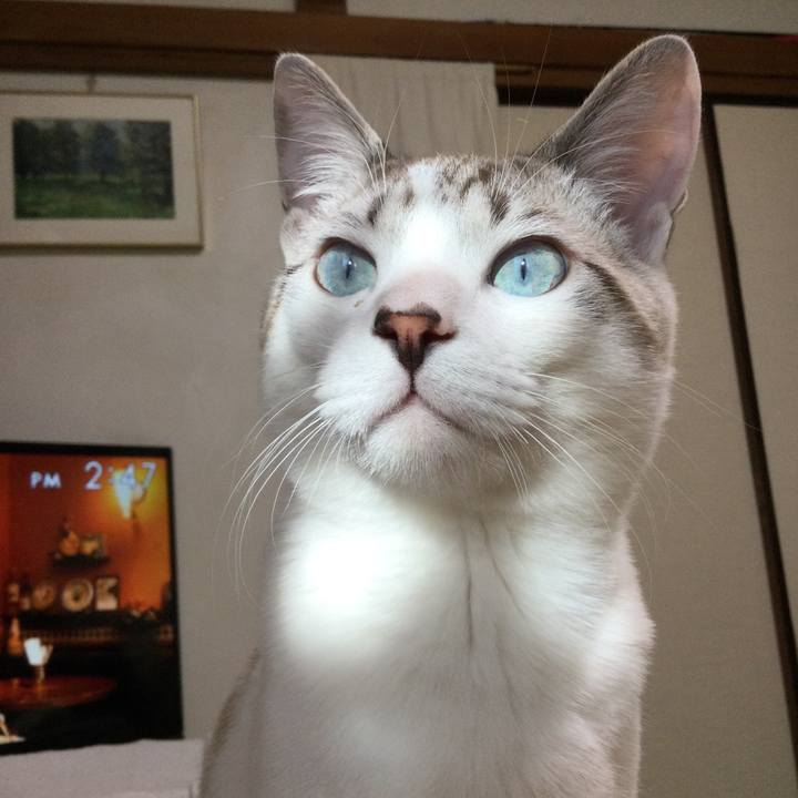 7f901188 7503 4955 bceb b35af5c35864 1610338756278