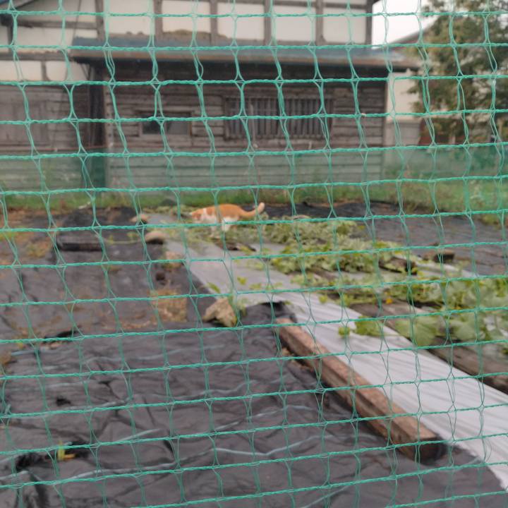 7f903aa6 fe94 4281 acc0 e73d456701b3 1750716255355