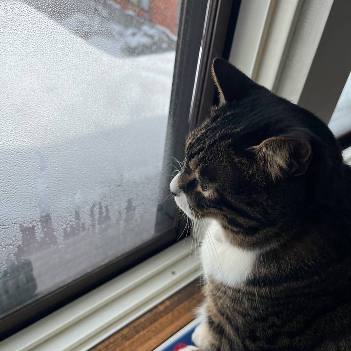 7f904eec fbfc 4a4a aaa7 1c09d766b87e 1768955047092